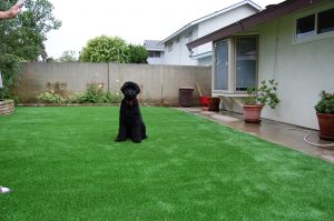 Valley Center Synthetic Turf Installation Contractor in 92082