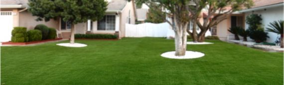 Artificial Lawn Maintenance