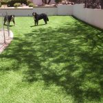 Synthetic Lawn Pet Turf Company La Mesa, Best Artificial Pet Turf Pricing