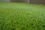 Make Greener Choice With Best Artificial Grass In La Mesa