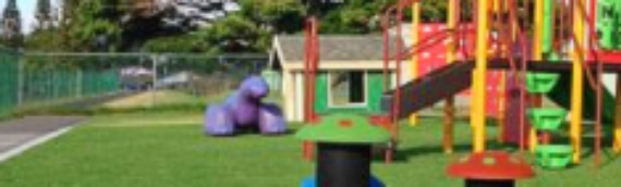 ▷Safer Playgrounds With Synthetic Grass La Mesa