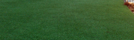 ▷Ways To Create The Ultimate Putting Green With Artificial Grass La Mesa