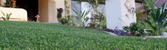 ▷5 Ways Artificial Grass Adds Value To Your Property La Mesa