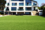 7 Tips For Busy Homeowner’s Guide To Maintain Artificial Turf La Mesa