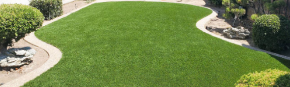 ▷How To Keep Artificial Grass Green In La Mesa?