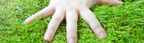 ▷How To Get Rid Of Lumps In Artificial Grass La Mesa?