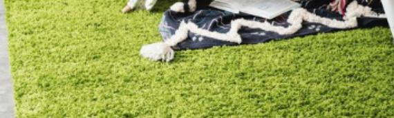 ▷7 Common Places For Artificial Grass Rugs In Homes La Mesa