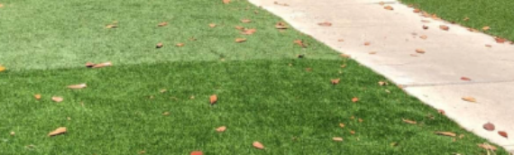 ▷7 Tips To Solve Frustrating Lawn Issues For Good With Artificial Grass La Mesa