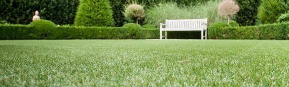 ▷5 Reasons That Artificial Grass Provides Picturesque Vision In La Mesa