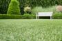 5 Reasons That Artificial Grass Provides Picturesque Vision In La Mesa