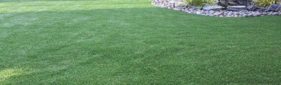 ▷5 Tips To Remove Wrinkles In Artificial Grass In La Mesa