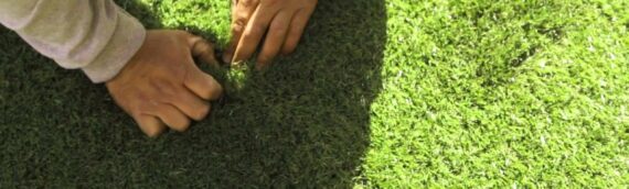 ▷How To Remove Dirt From Artificial Grass Rugs In La Mesa?