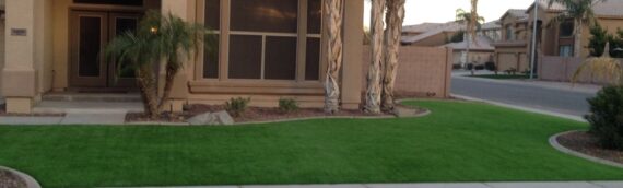 ▷How To Create Garden Path With Artificial Grass In La Mesa?