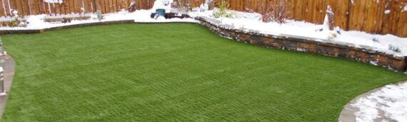 ▷How To Maintain Your Artificial Grass In Winter Season In La Mesa?