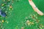 5 Tips To Deep Clean Your Artificial Turf In La Mesa